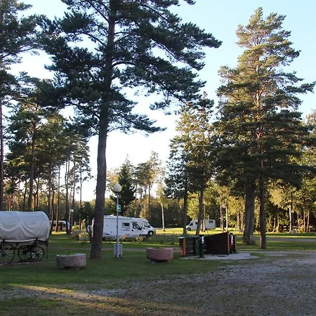 Tehumardi