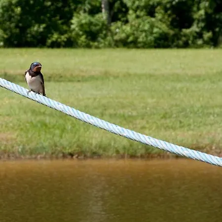 Ferienpark Tehumardi Salme