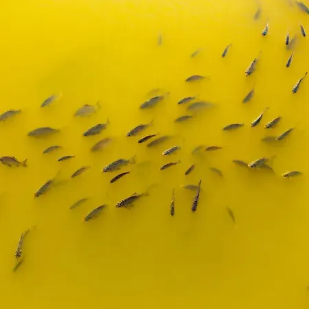 Vakantiepark Tehumardi 2*