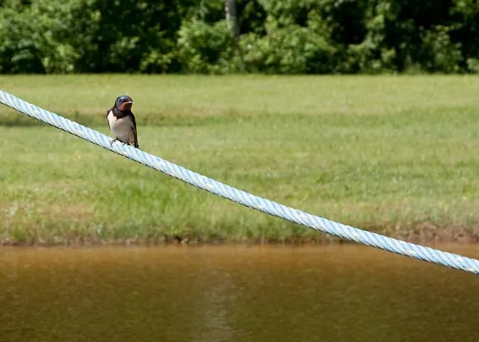 Kompleks wypoczynkowy Tehumardi Salme