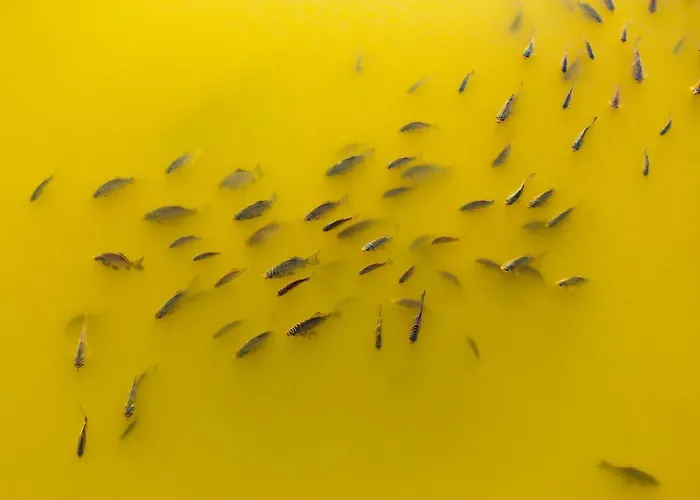 Kompleks wypoczynkowy Tehumardi 2*